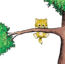 kat uit de boom kijken