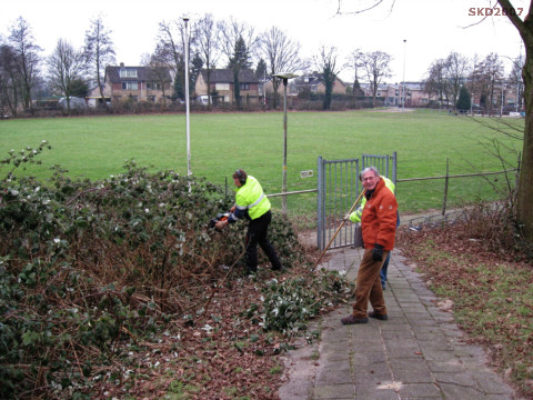 2010 02 16 verwijderen struiken